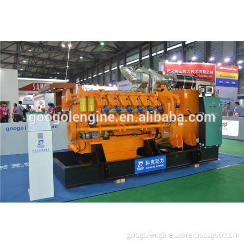 Googol 1 MW Biogas Generator Price